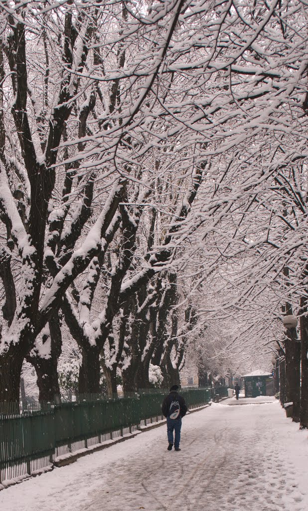Walking In The Snow, Верцелли