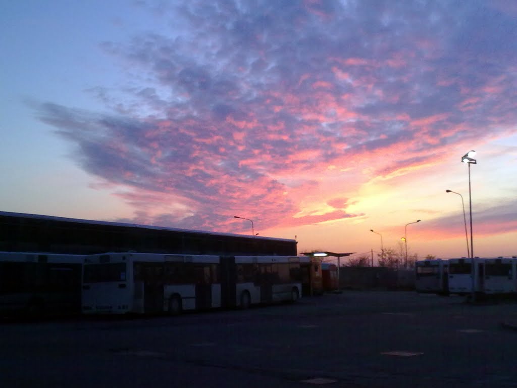 Bus in deposito al tramonto, Новара