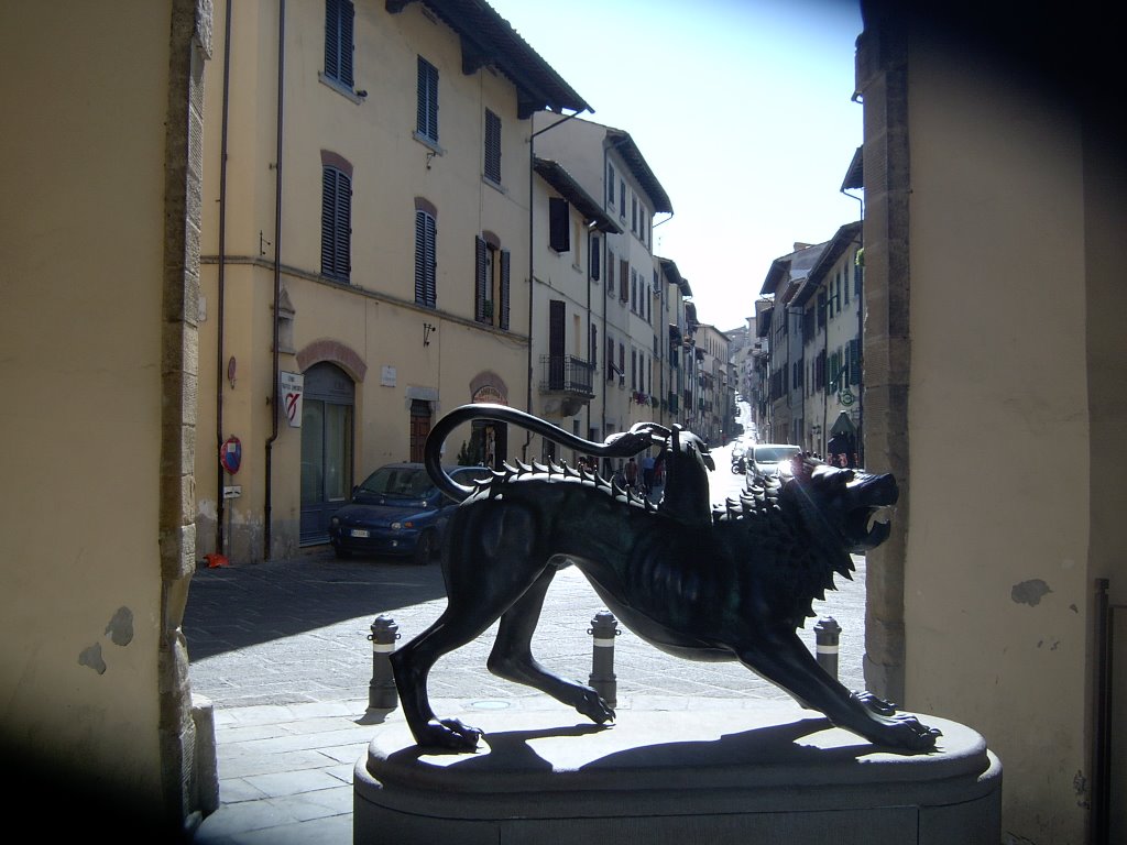 Chymera (Arezzo), Ареццо