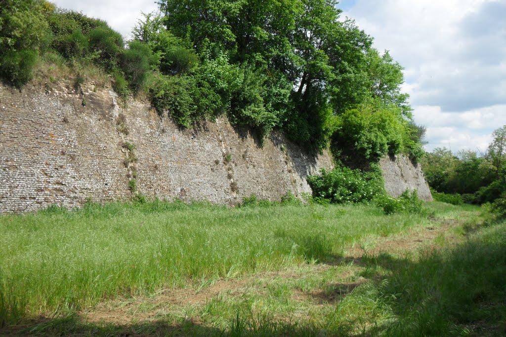 Fortezza Medicea, Лючча