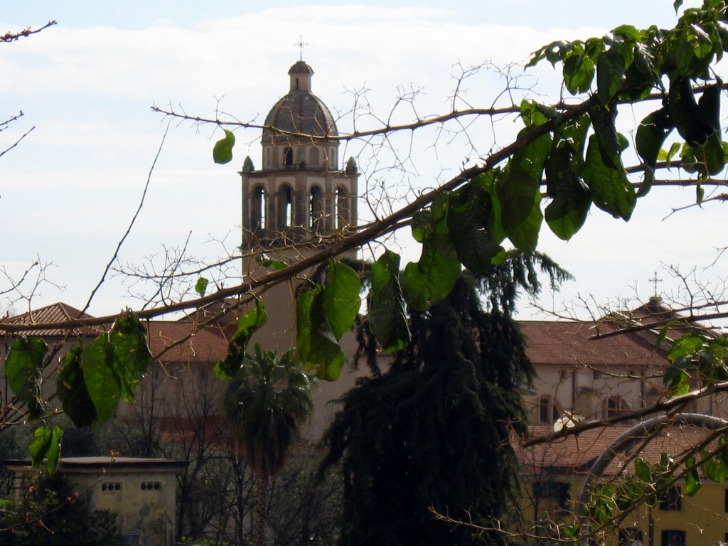 Duomo di Massa visto dai Cappuccini, Масса