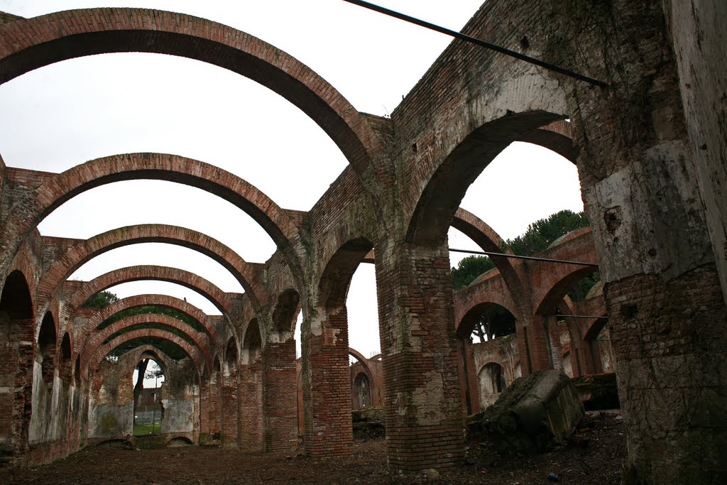 Arches, Пиза