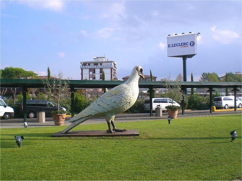 Aereoporto di Pisa - il piccione viaggiatore, Пиза