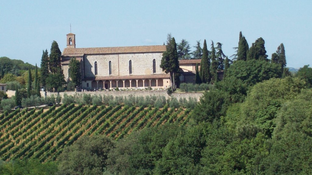 Basilica di San Lucchese dal Cassero della Fortezza, Пистойя