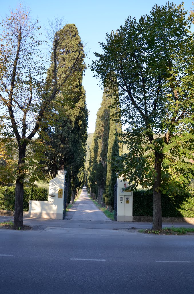 Limonaia - Prato, Прато