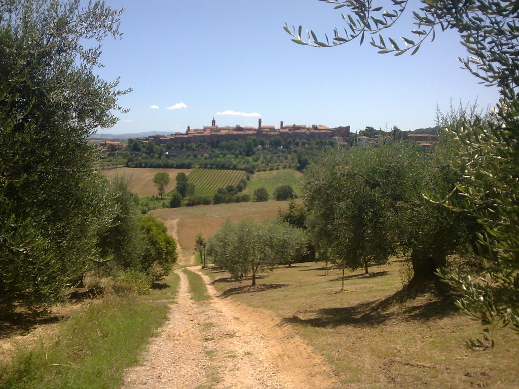Panorama di Torrita di Siena, Сьена