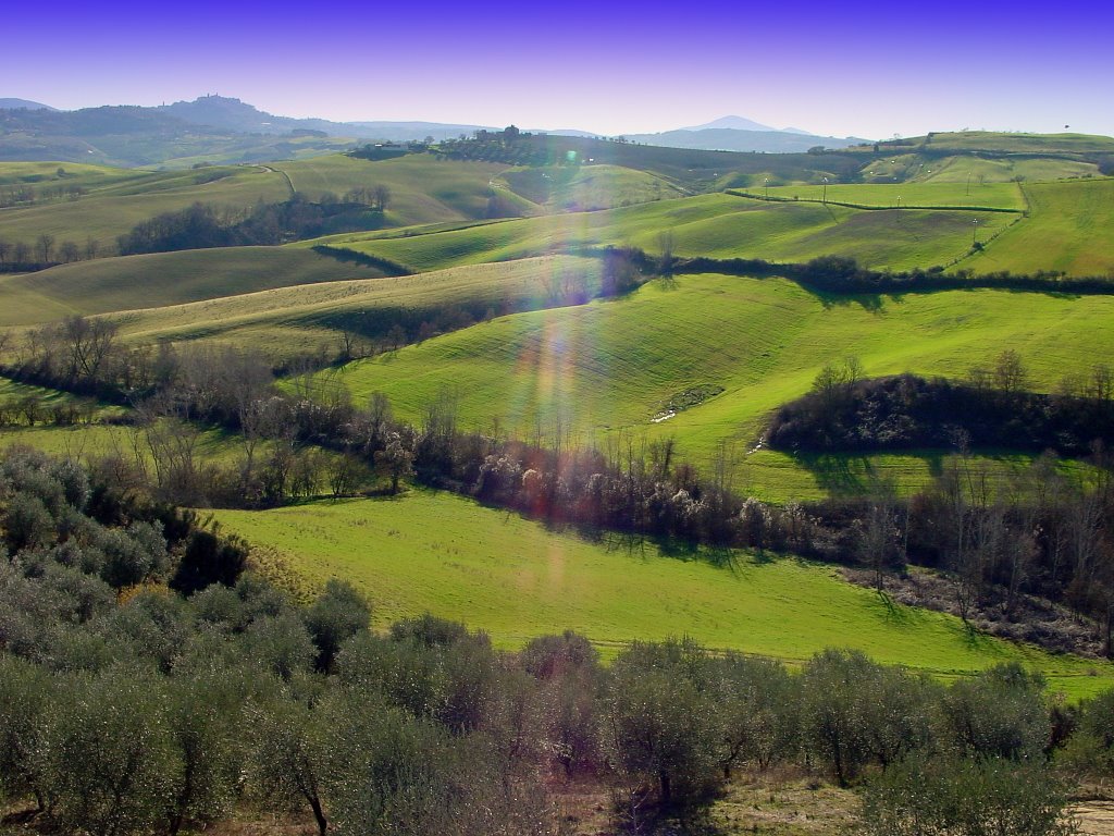Montepulciano hills, Сьена