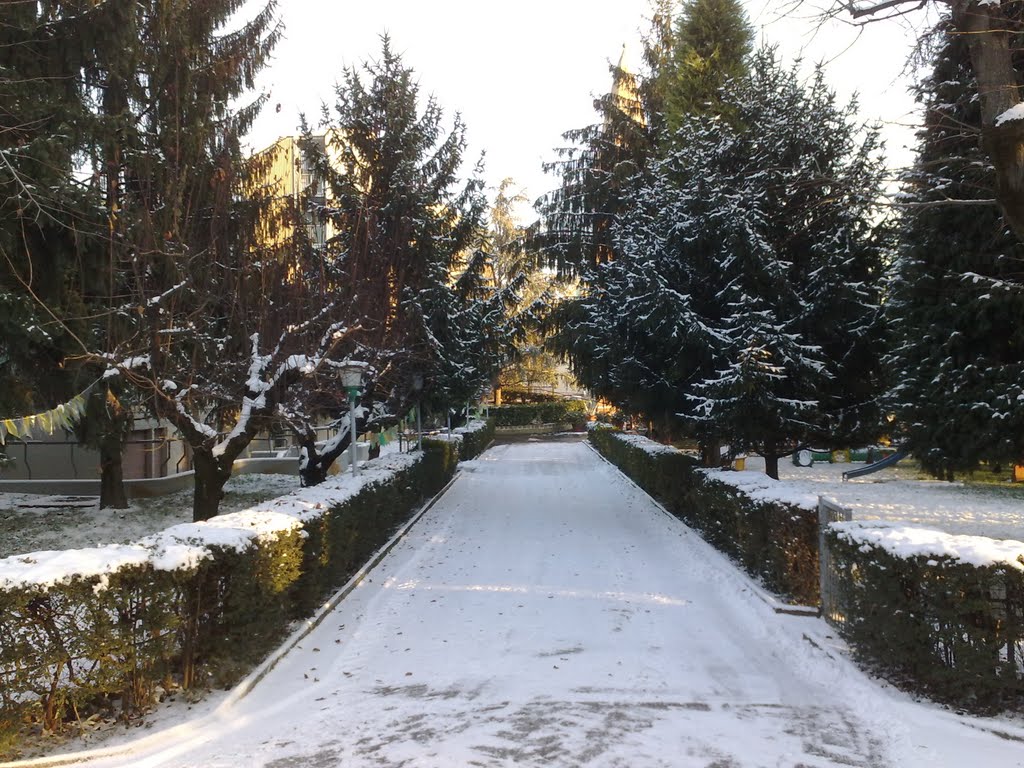 Vialetto dinverno, Модена