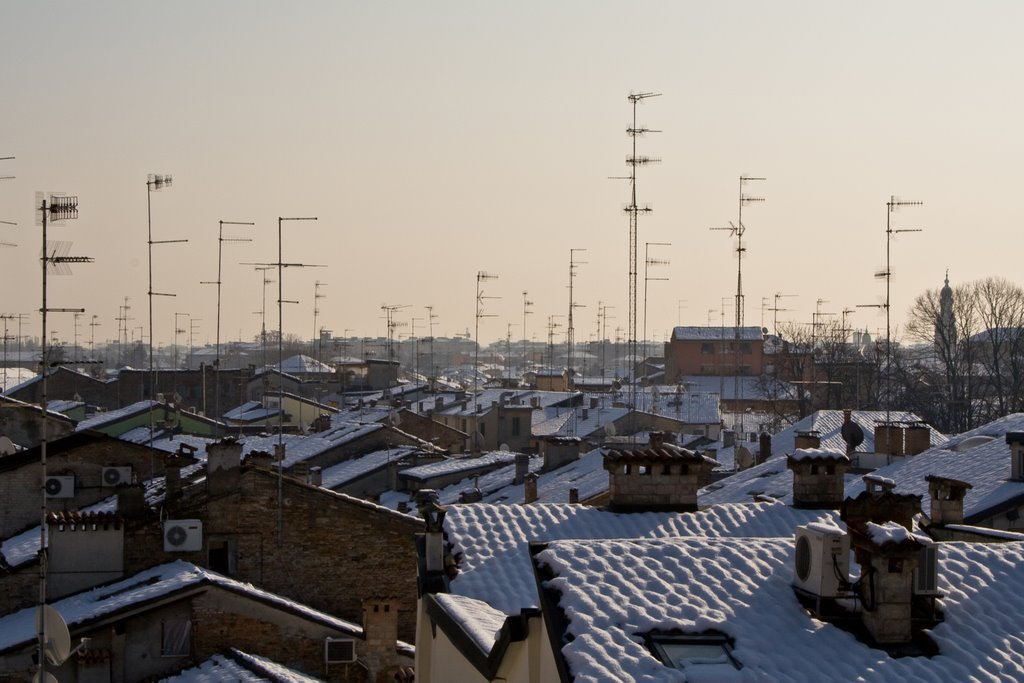 Jungla sopra i tetti, Парма