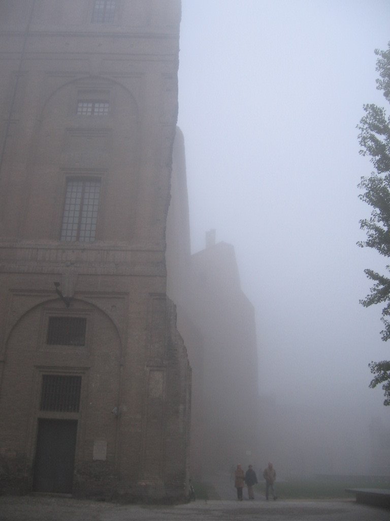 Parma in the fog, Парма