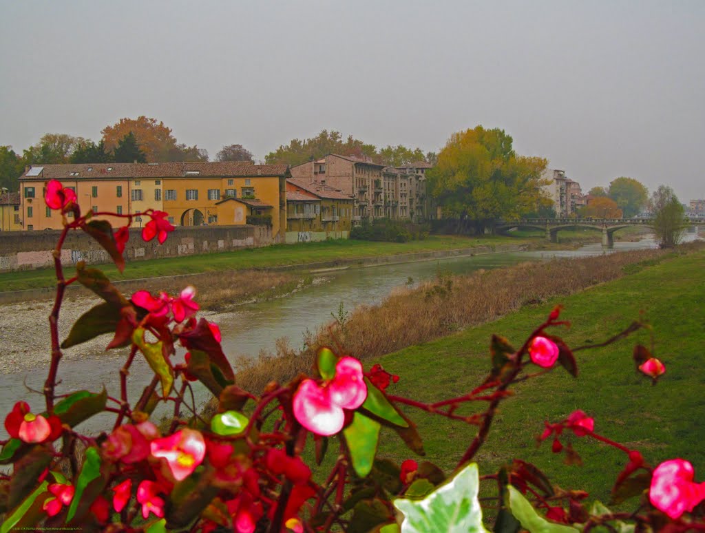 ITA Parma [Parma] from Ponte di Mezzo by KWOT, Парма