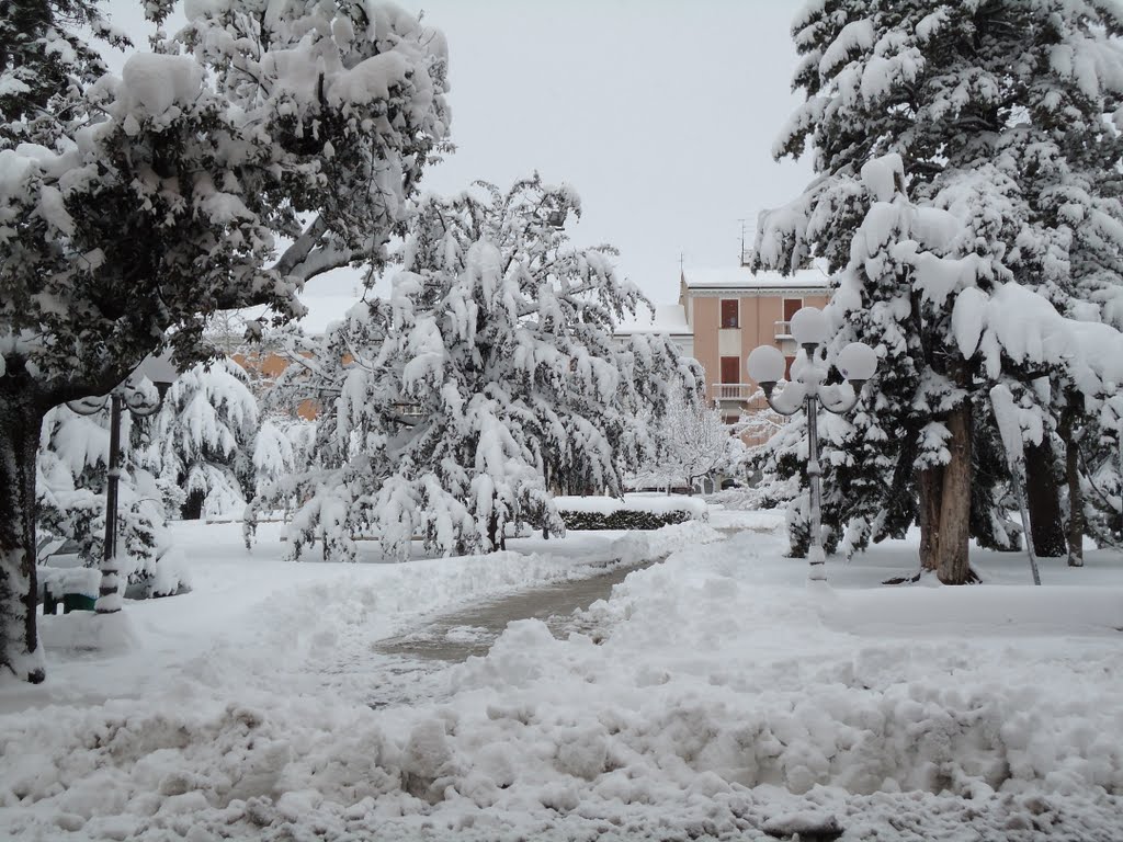 Nevicata del 22-01-2011, Кампобассо