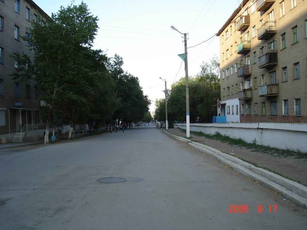 ул. Валиханова, Алга