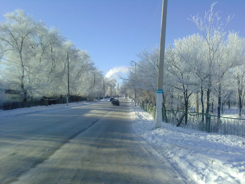 Зима в г. Алга, Алга