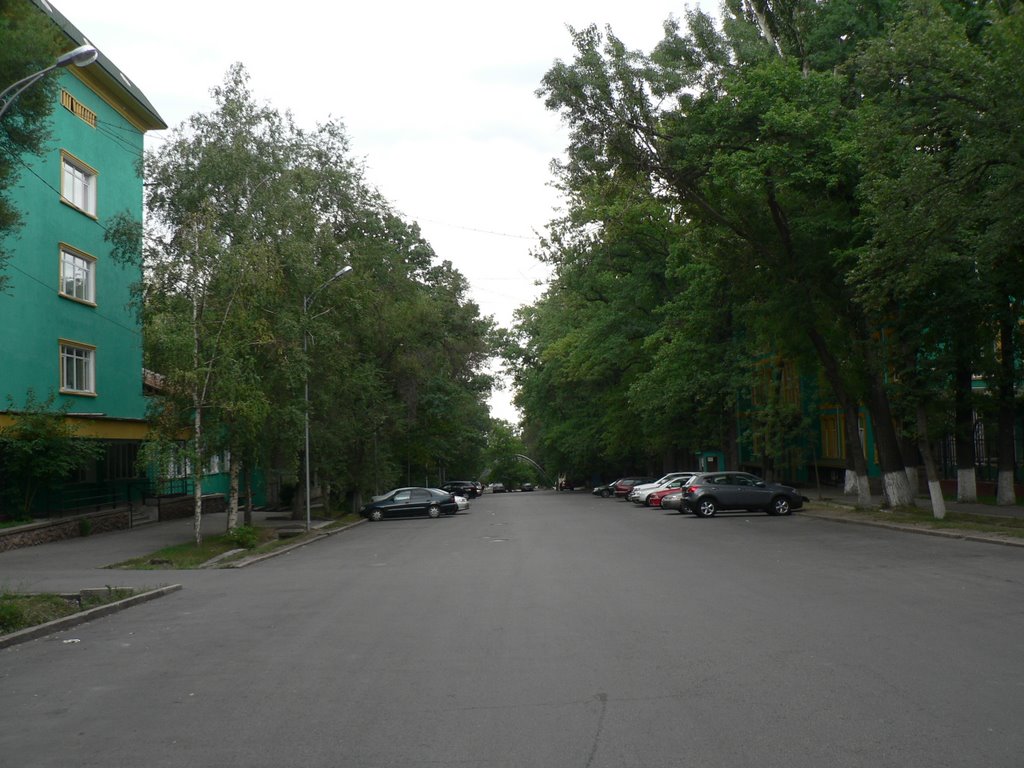 Baiseitovoi, View from Shevchenko, Алма-Ата