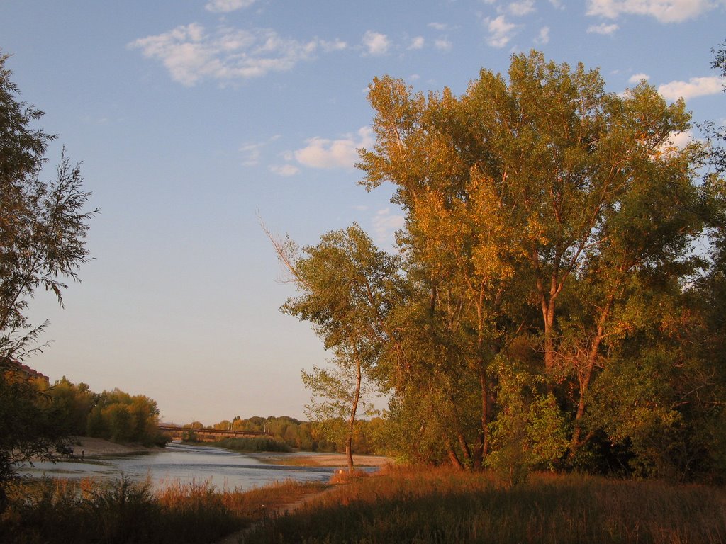 Dusk on the Ulba River, Белогорский