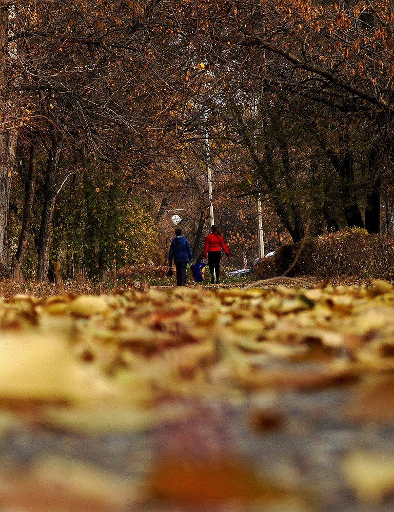 autumn Protozanova st. (NKO), Белогорский