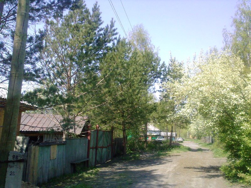 ул.Луговая , май 2009., Белоусовка