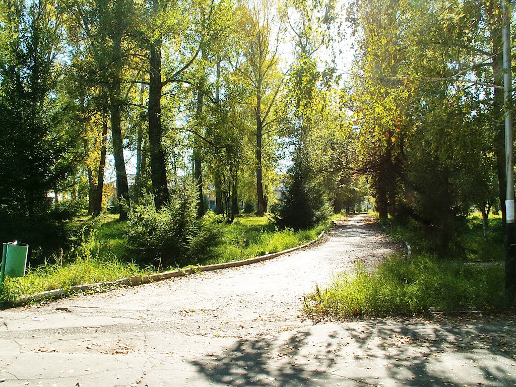 Осенним светом 2006 залит парк, Зыряновск