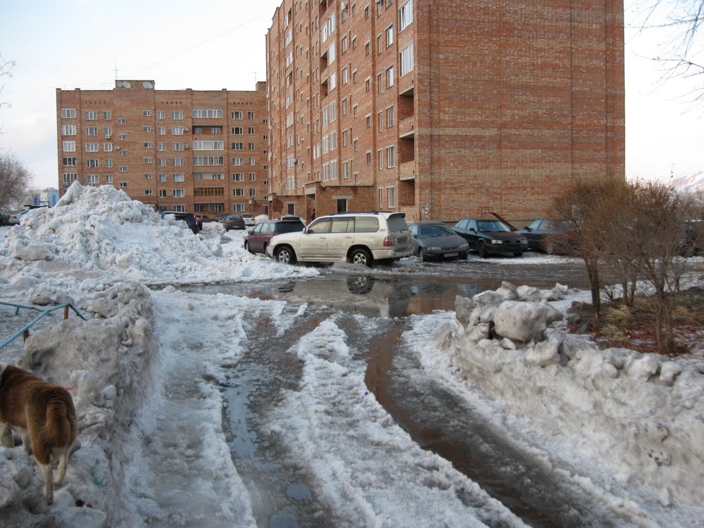 В районе пр. Сатпаева, 20 весной 2010 года, Самарское