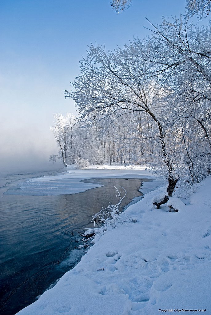 snow tree on river border, Усть-Каменогорск