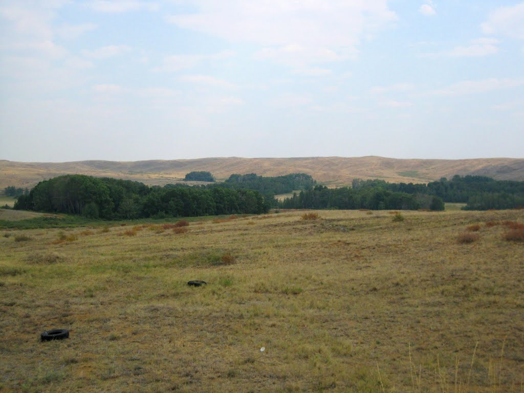 Forests of Ulytau. No more forests to the south, Байчунас