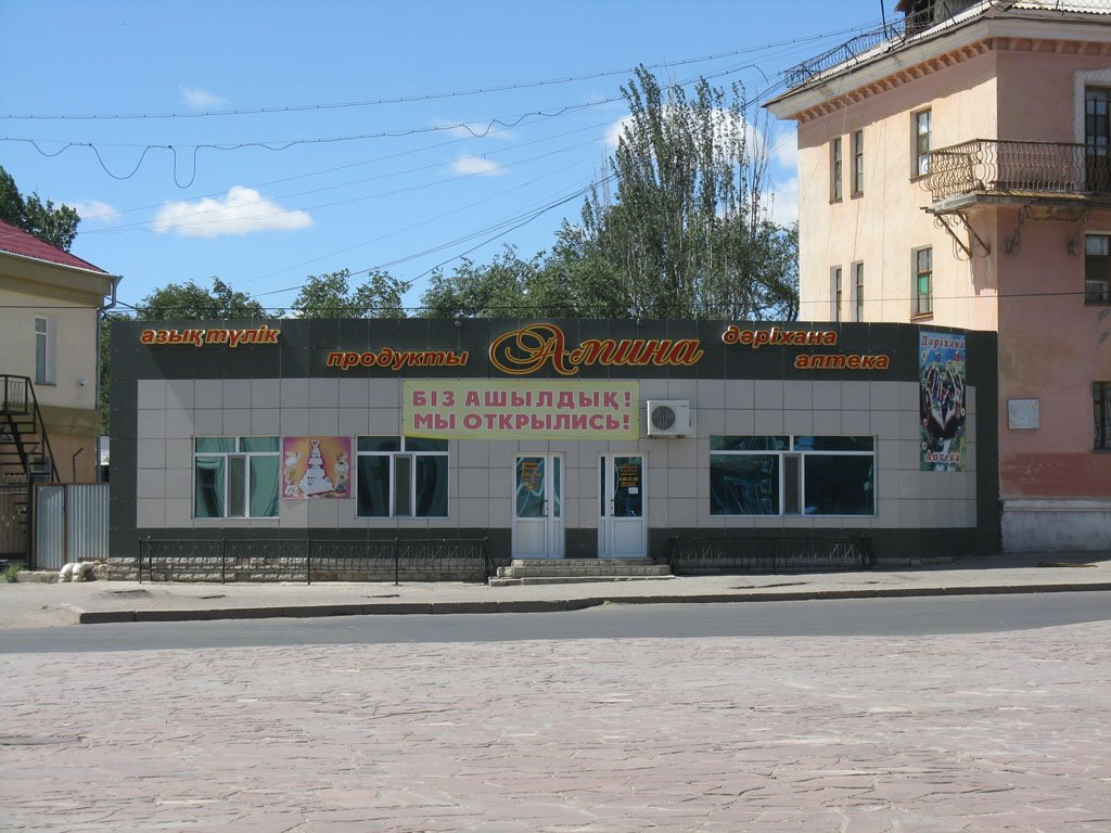 магазин Алина, Искининский