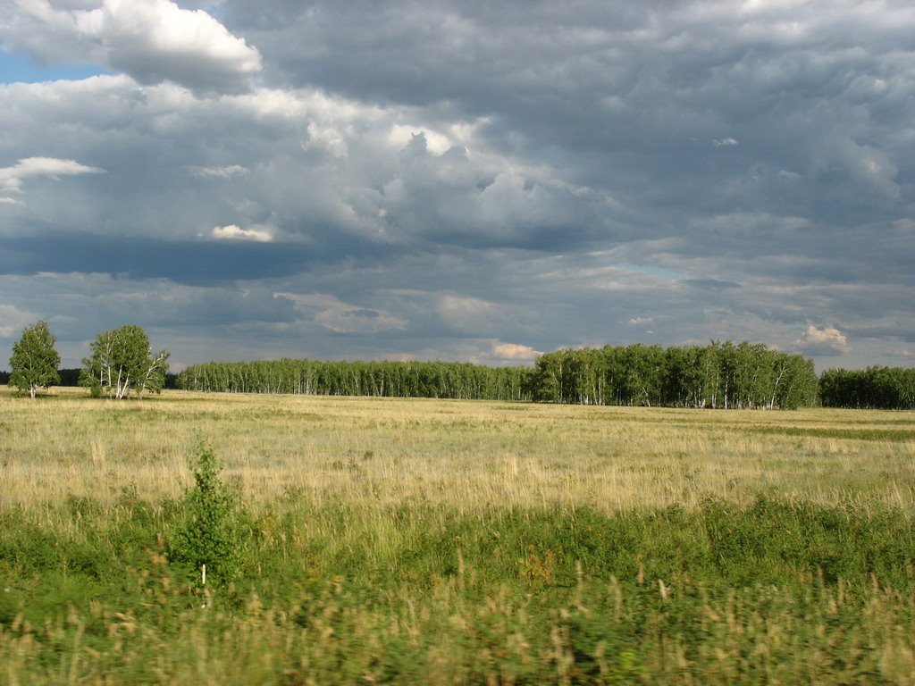 Forest-steppe, Михайловка