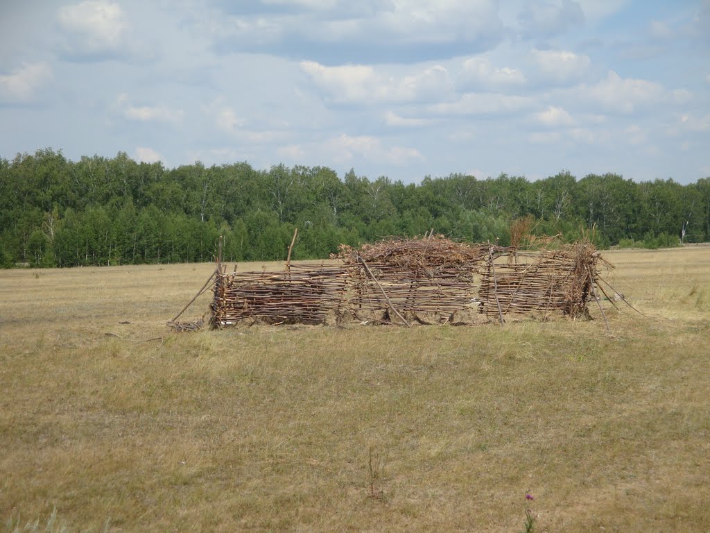 Деревянное строение, Новотроицкое