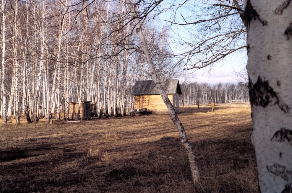 Le cabanon à lorée de la forêt, Новотроицкое