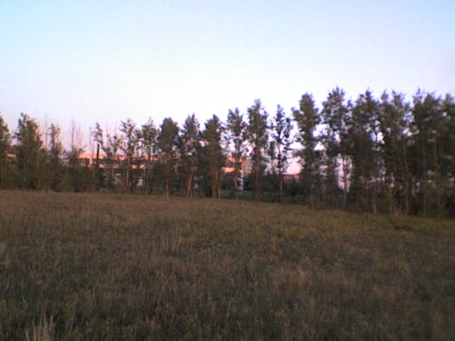 парк, Актау
