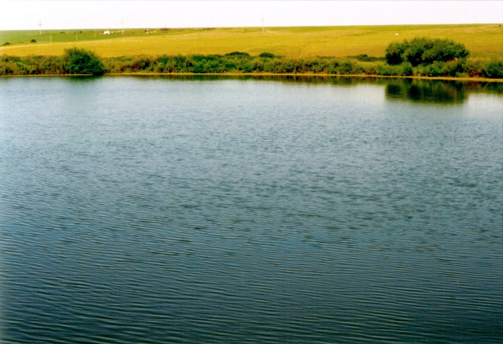 Озеро, Володарское