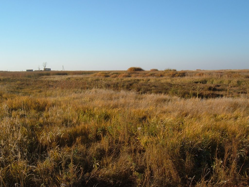 field, Володарское