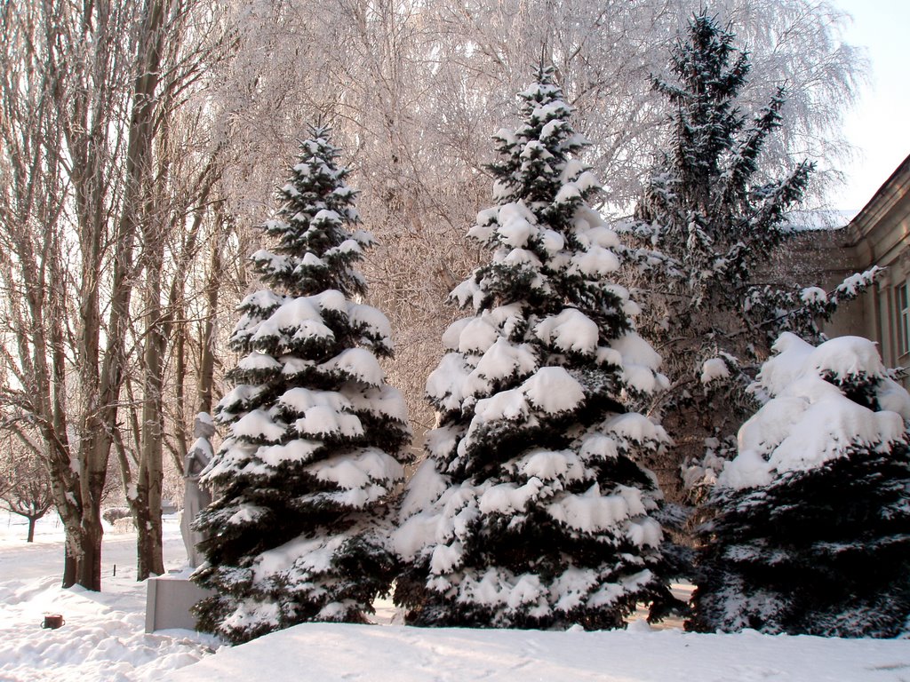 Зимушка-зима (01.2009), Красноармейск
