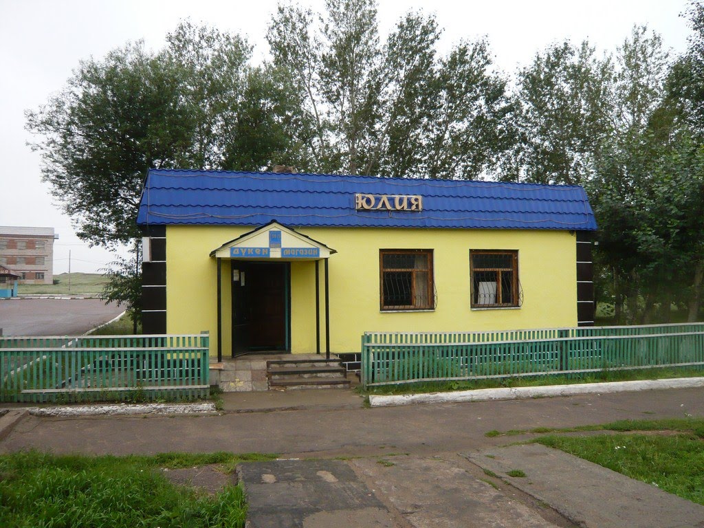 Магазин Юлия, Степняк