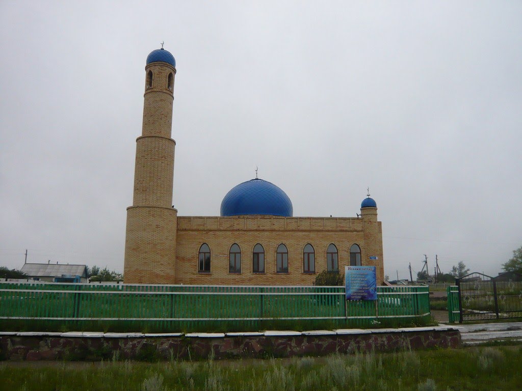 Мечеть, Степняк