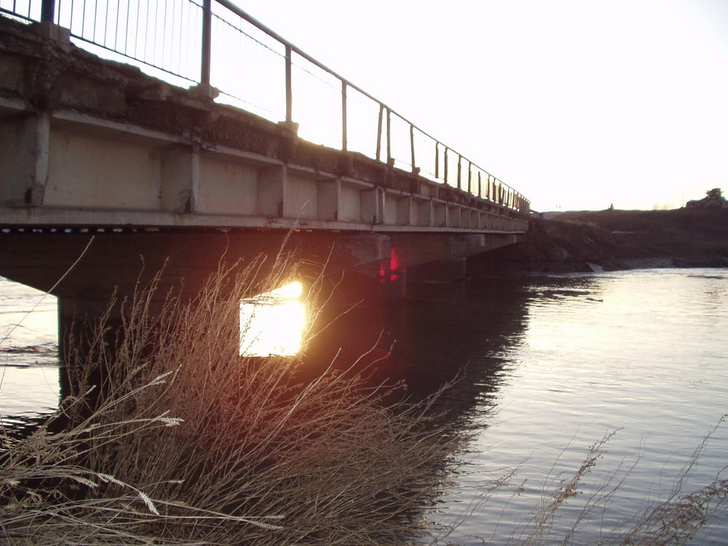 Разлив реки Чистополье (весна), Чистополье