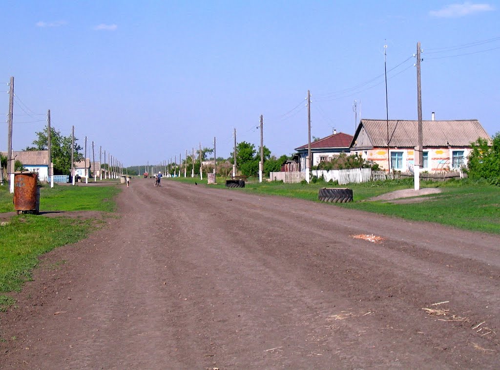 Главная улица, Камышное