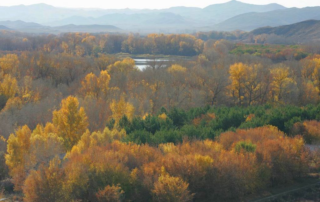 В устье Губерли., Ленинское