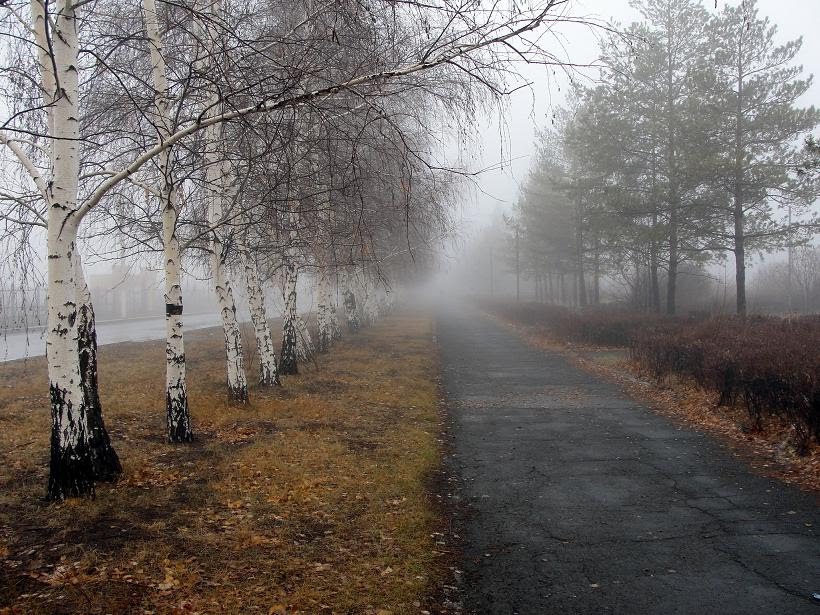 Утренний туман, Ленинское