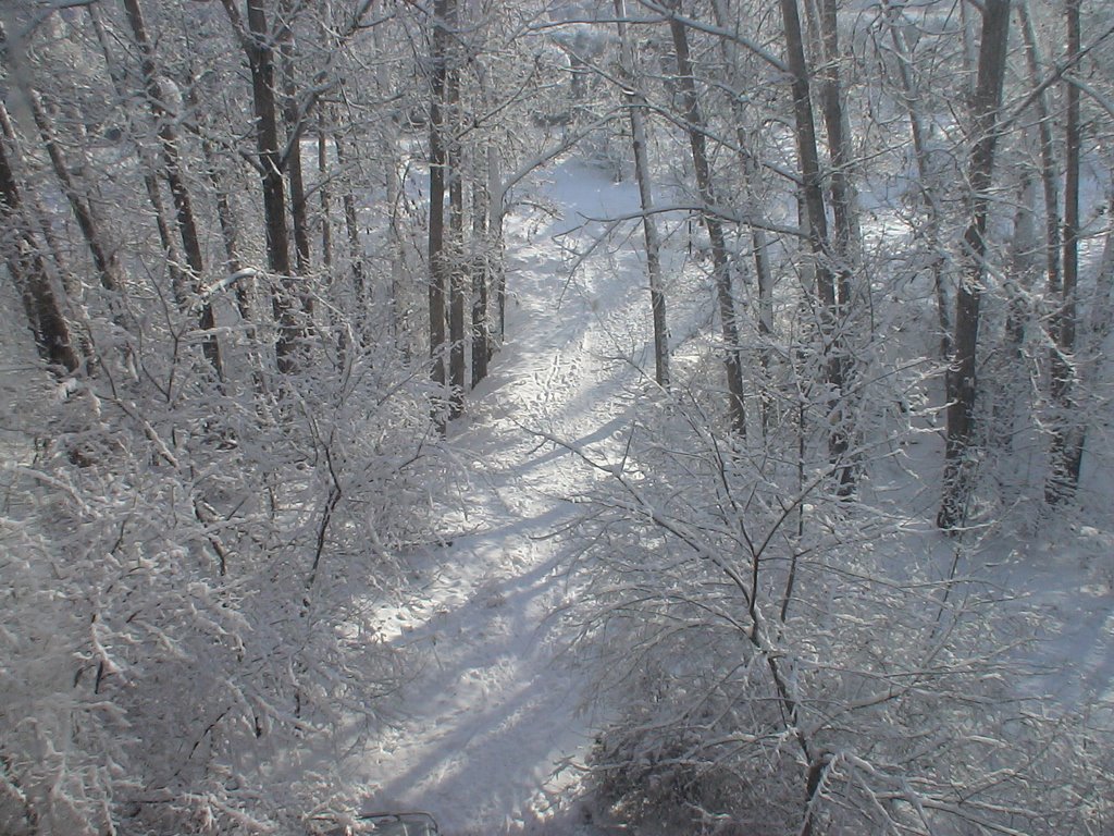 Зима в Алма-ате, Орджоникидзе
