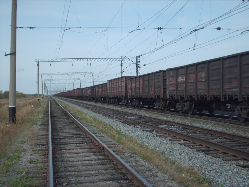 Уходящие вдаль ж/д пути (Railway), Семиозерное
