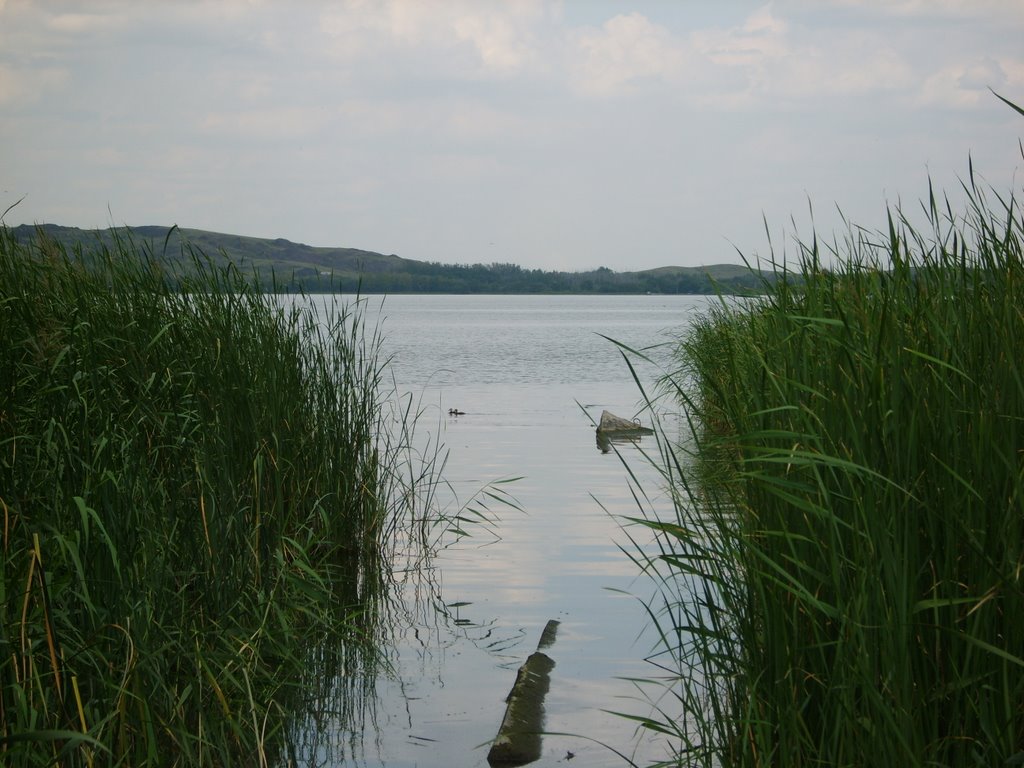 Озеро. Вид на Правый Берег, Новый Узень