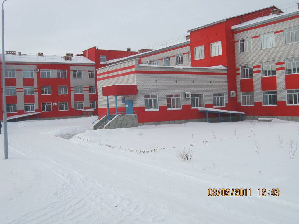Новая поликлиника и больница, Железинка