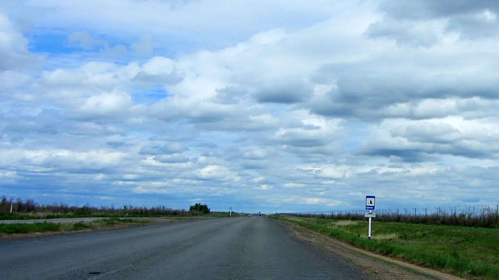 дорожный знак: "Место отдыха", имеется эстакада, Краснокутск