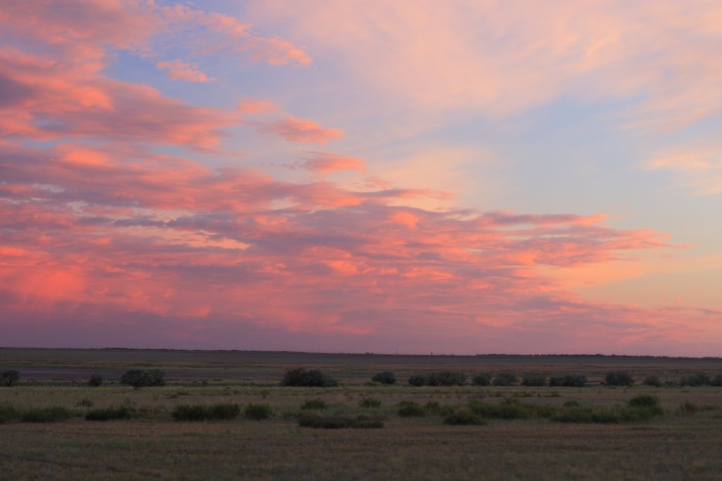 Sunset at steppe., Лебяжье