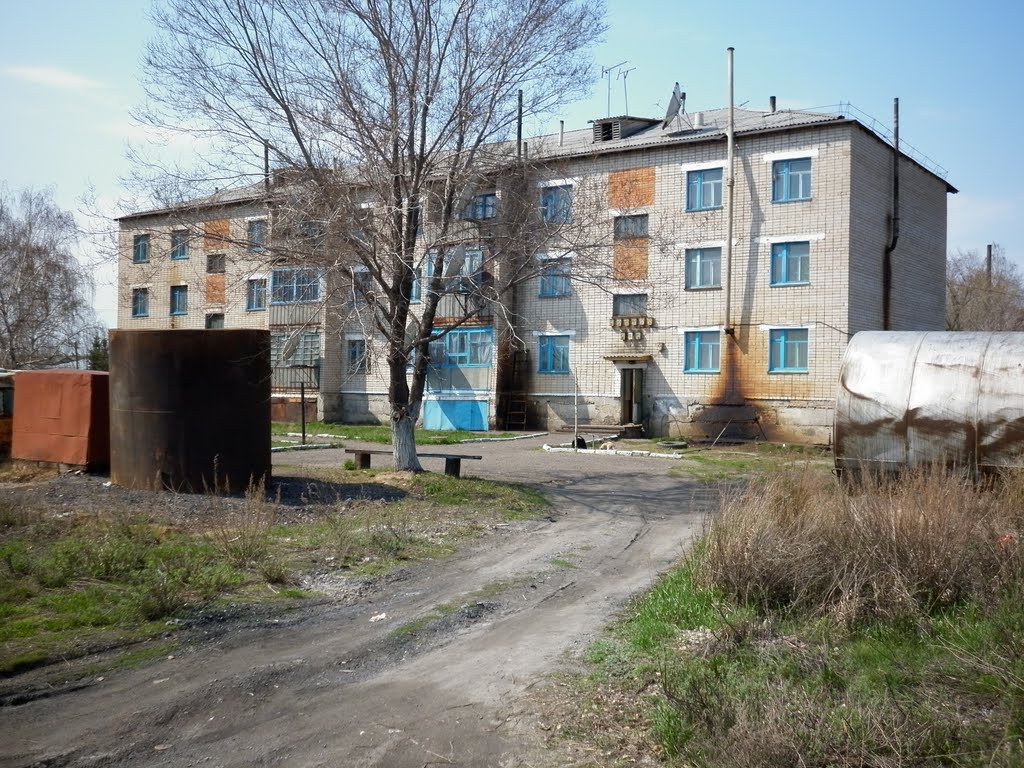 Дом по улице Молдыбаева, Сергеевка