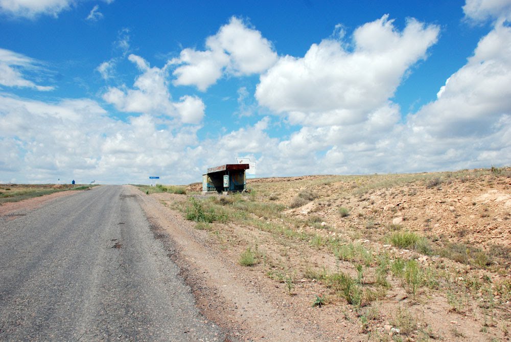 Road to Karaganda, Баршатас
