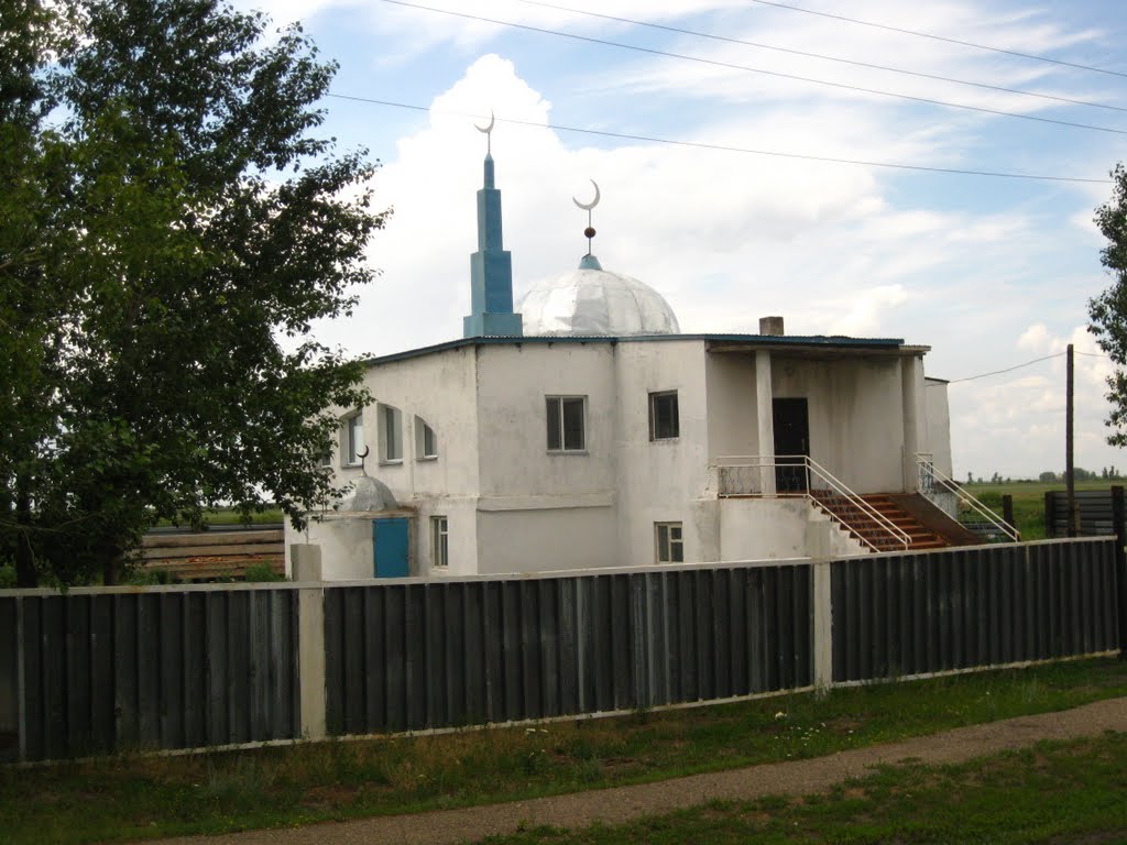 Mosque in Petrovka, Бельагаш