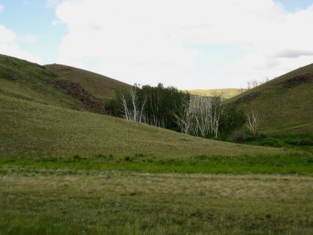 Saryarka landscape, Бельагаш